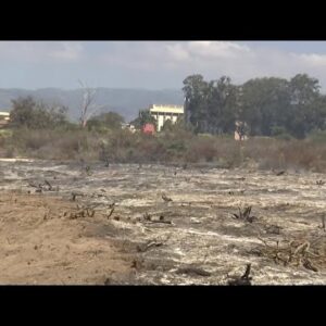 A fire at UCSB was part of a vegetation plan