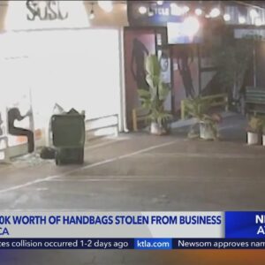 Thief uses garbage bin to help steal $10,000 worth of leather purses in Santa Monica