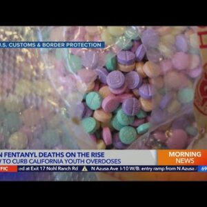 Dr. Dan Ciccarone on rising youth fentanyl overdoses