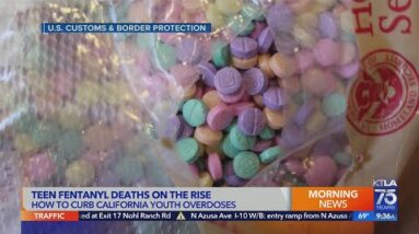 Dr. Dan Ciccarone on rising youth fentanyl overdoses