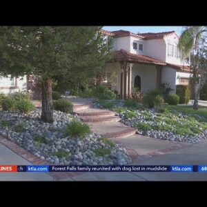 Homeowner at odds with HOA over drought-tolerant landscape rules