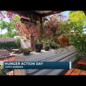 HUNGER ACTION DAY