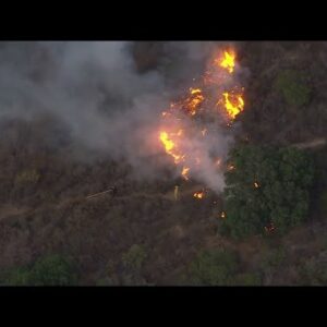 LAFD crews knock down brushfire in Hollywood Hills