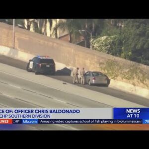 Man shot, wounded while driving on 110 Freeway: CHP