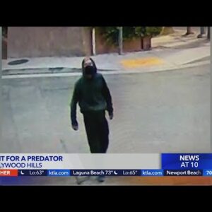 Man sexually assaulted woman during morning walk in Hollywood Hills: LAPD