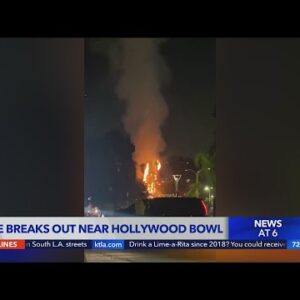 Palm trees burn near Hollywood Bowl