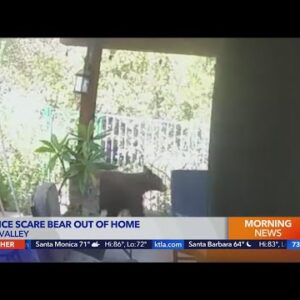 Police scare black bear out of Simi Valley home