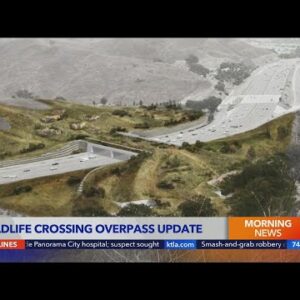 Caltrans to close lanes of 101 Freeway in Agoura Hills for construction on wildlife crossing