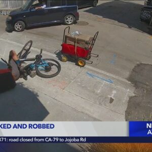 Scuffle over bicycle in Venice caught on video