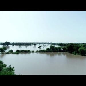 ShelterBox USA heads to Pakistan to help thousands amid massive flood