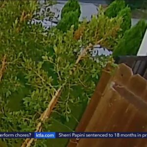 Suspects sought in deadly Encino shooting