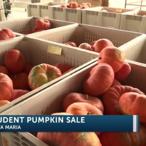 Santa Maria High School Students present ‘Pumpkins on the Farm’ pumpkin sale at the Mark ...