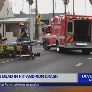 1 dead in Hyde Park hit-and-run