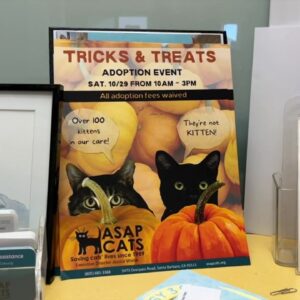 ASAP Cats to host Tricks & Treats Adoption Event on Saturday