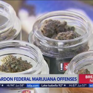 Biden to pardon federal marijuana offenses