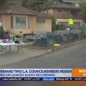 BLM protesters demand 2 L.A. councilmembers resign