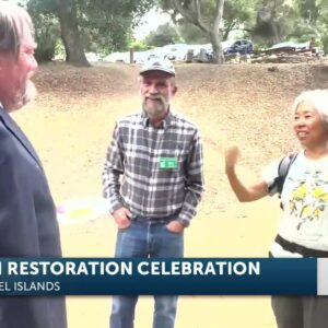 Channel Islands Restoration celebrates 20 years
