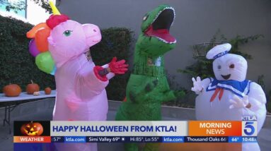 KTLA Weekenders reveal final costume and attempt power wash pumpkin carving trend