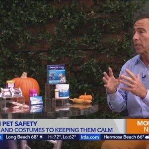 Dr. Jeff Werber on Halloween pet safety