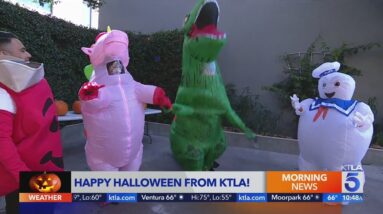 KTLA Weekenders attempt power wash pumpkin carving trend in inflatable Halloween costumes