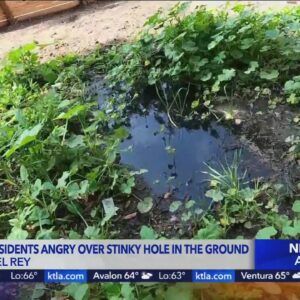 Foul odor at vacant Del Rey home irks neighbors