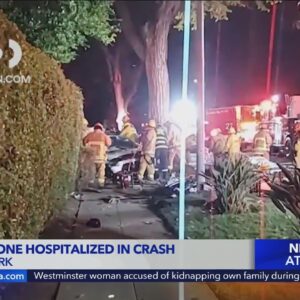 Driver killed, passenger injured when car slams into tree in Hancock Park