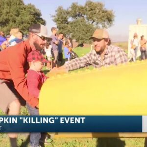 Pumpkin killing, carving, and launching hosted at the Orcutt Hill Picnic Grounds
