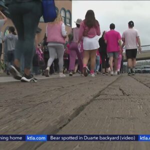 Making Strides Against Breast Cancer in Santa Monica