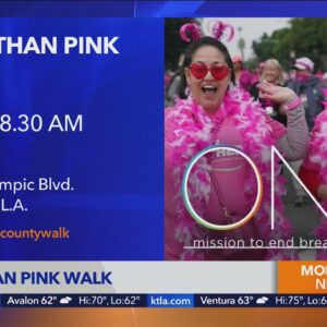 'More Than Pink Walk' unites survivors and caregivers