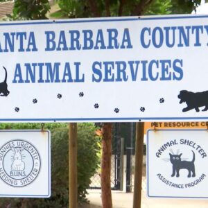 Santa Barbara County Animal Services waive adoption fees for the month of October