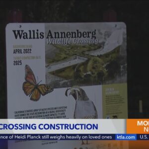 Annenberg Foundation to unveil AR experience of 101 Freeway wildlife crossing