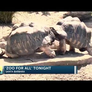 Santa Barbara Zoo Hosts “Zoo for All” party for kids