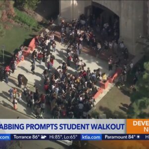 School stabbing prompts school walkout