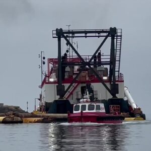 Sea Lions lounge on dredging equipment in Channel Islands Harbor