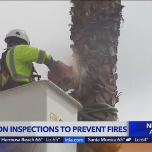 SoCal Edison doing vegetation inspections to prevent fires