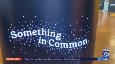 "Something in Common" at Central Library