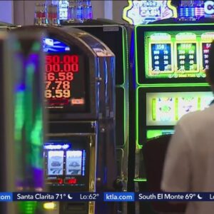 Sports betting propositions face the voters next month