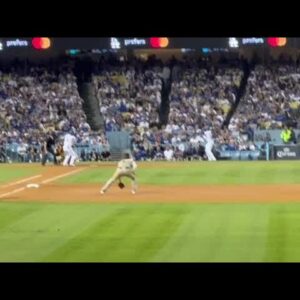 Wild goose crashes Dodgers-Padres NLDS game