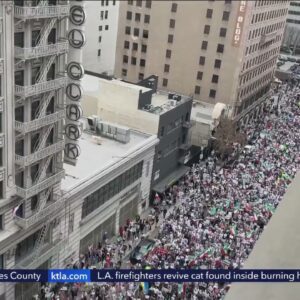 Downtown Los Angeles protesters continue to demand 'regime change' in Iran