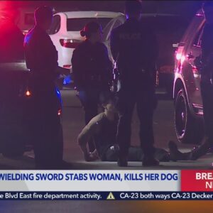 Woman, dog stabbed by man with sword in Mid-Wilshire area