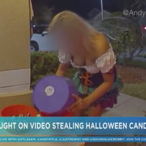 Busty burglar wench steals Halloween candy