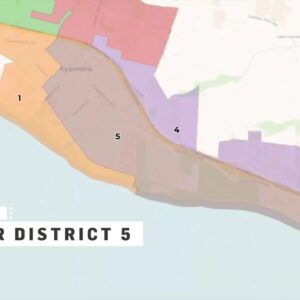 Carp City Council Election Update