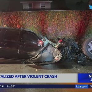 Crash destroys car and tree in Seal Beach, 2 hospitalized