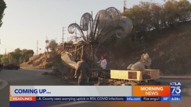 Fiesta Parade Float Testing