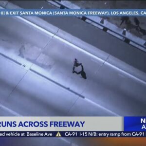 Foot pursuit crosses freeway