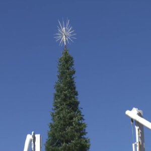 Holiday tree has arrived in downtown Santa Barbara