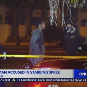 Homeless man arrested, accused of stabbing spree