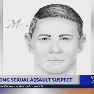 LAPD seeking sexual assault suspect