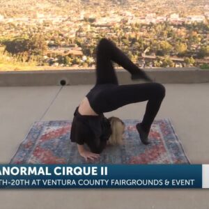Paranormal Cirque II visits News Channel 3-12 ahead of opening night