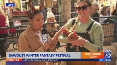 Sawdust Winter Fantasy Festival 2022 in Laguna Beach